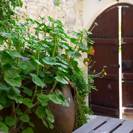 The Old Olive Mill House By Trulycyprus * Dhoros