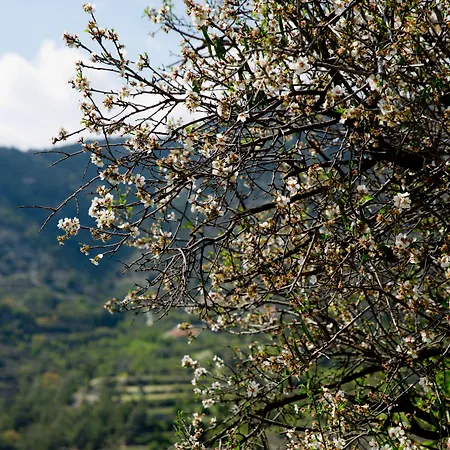 بيت للعطل The Old Olive Mill House By Trulycyprus Dhoros