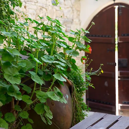 The Old Olive Mill House By Trulycyprus * Dhoros