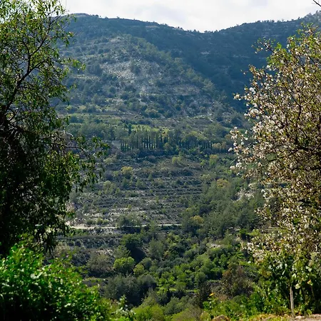The Old Olive Mill House By Trulycyprus * Dhoros