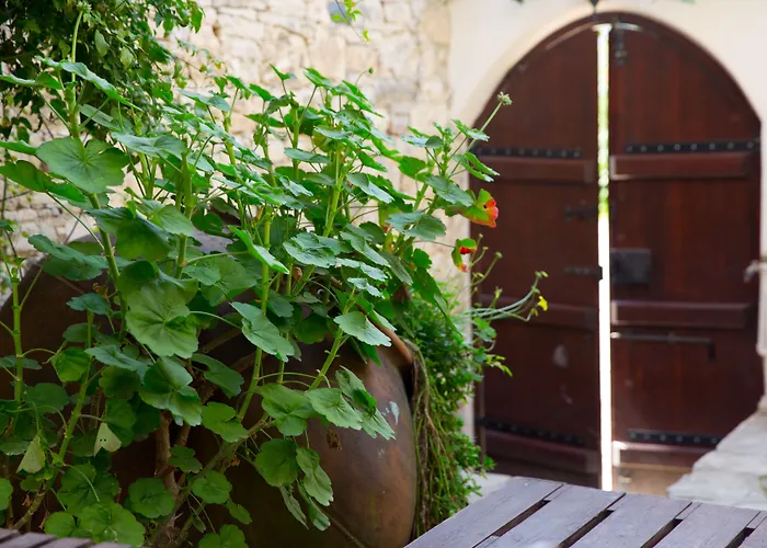 The Old Olive Mill House By Trulycyprus * Dhoros