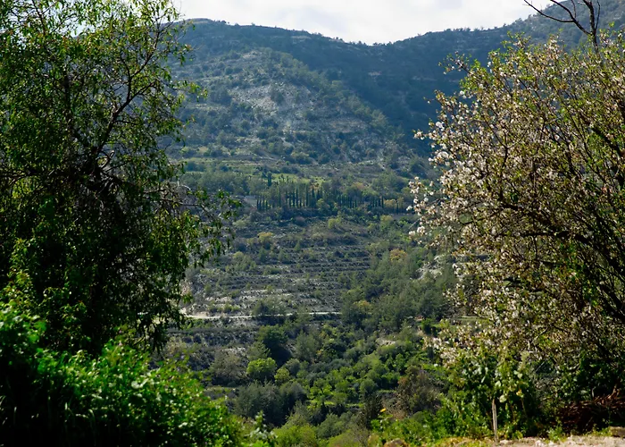 The Old Olive Mill House By Trulycyprus * Dhoros
