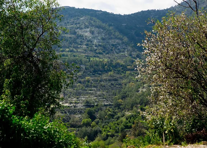 The Old Olive Mill House By Trulycyprus * Dhoros